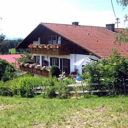 Haus Bergblick Apartment Oy-Mittelberg Exterior foto